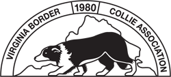VBCA logo, a crouching border collie in front of an outline of virginia and a banner.